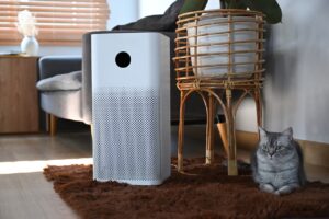 air purification